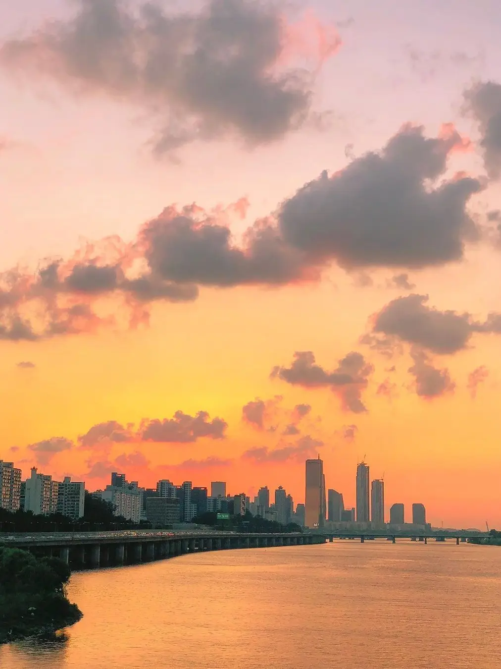 kjw_ddg의 최가온