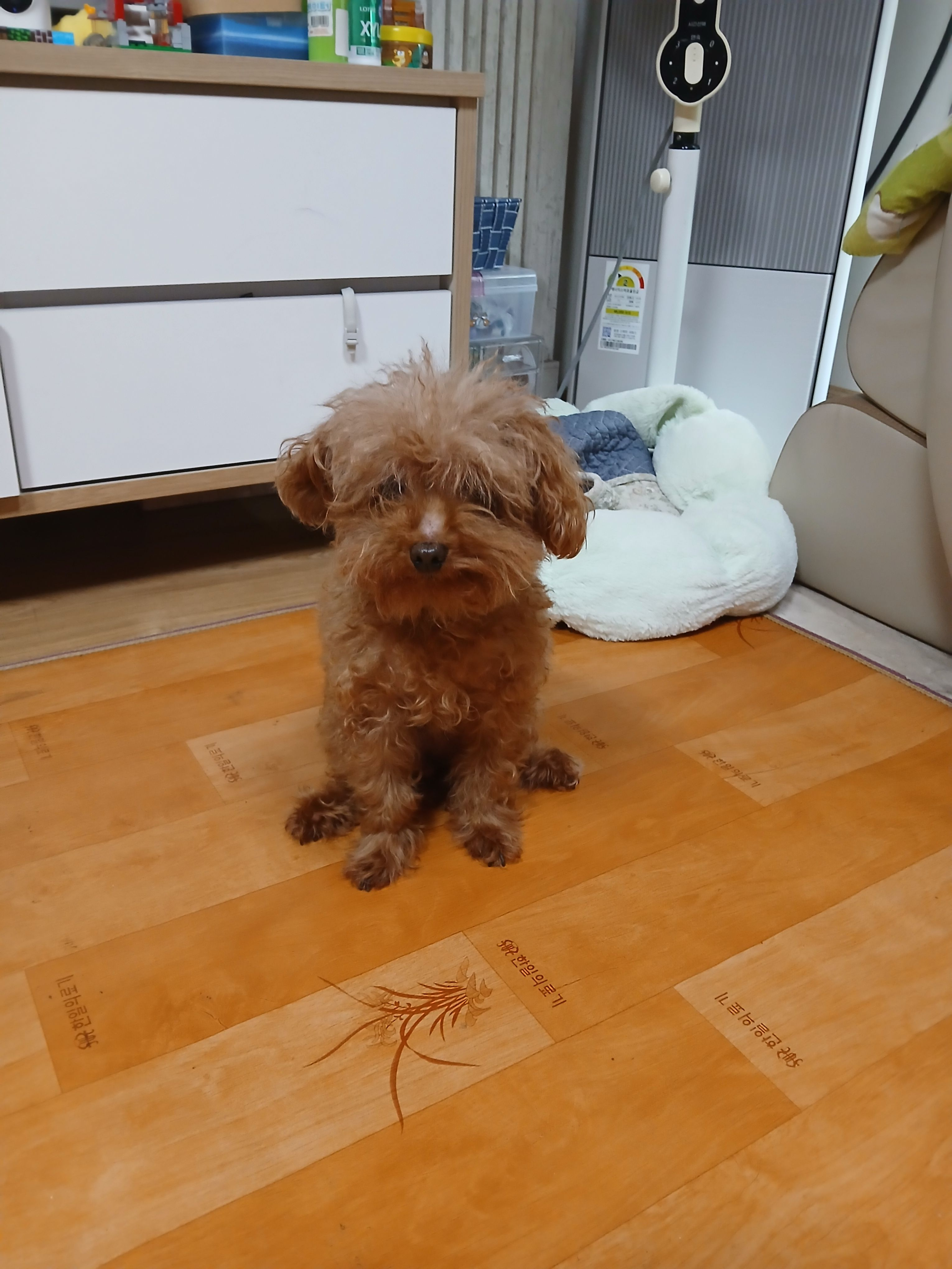 수경위 다치다 대표 이미지