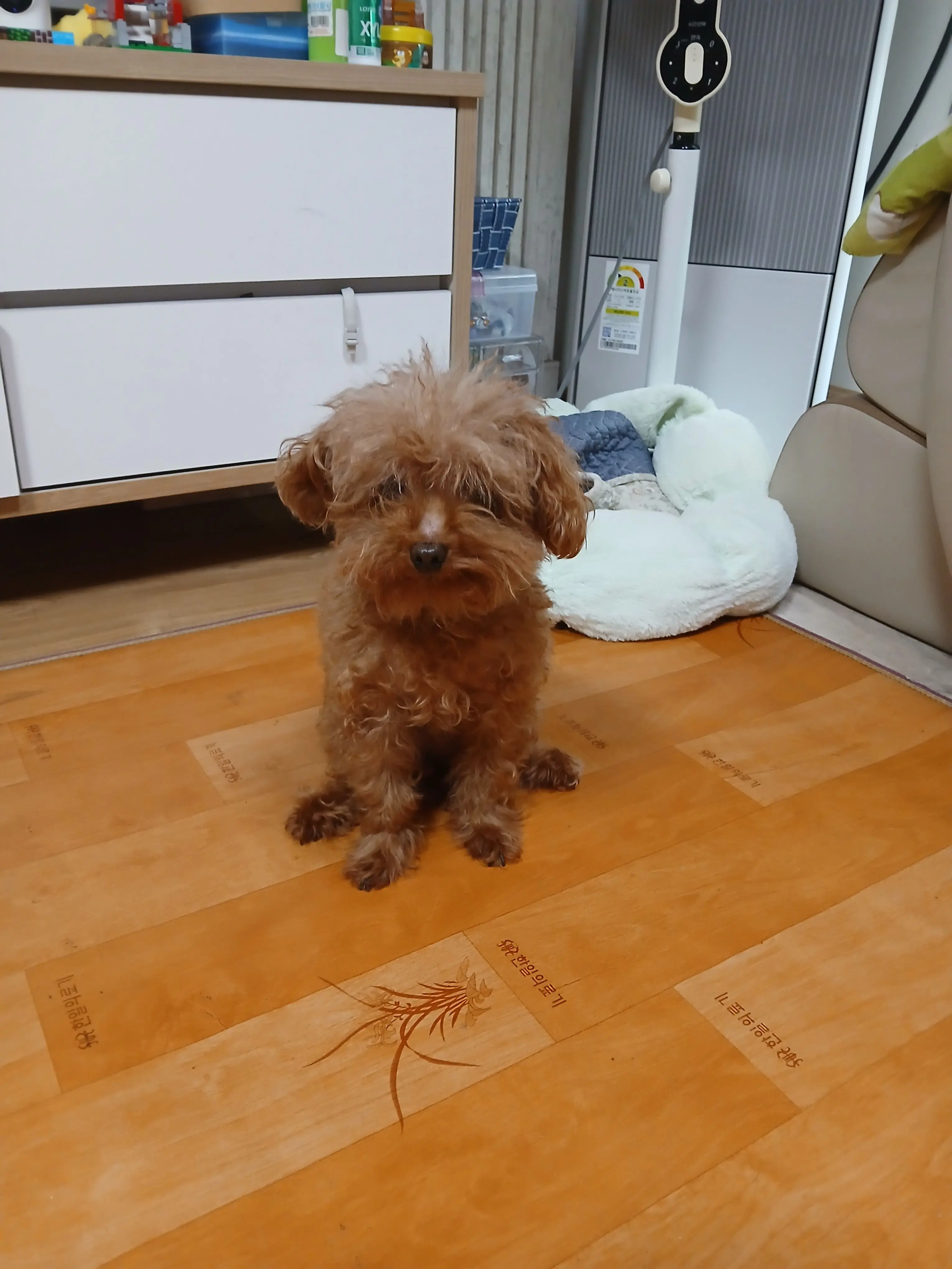 EliteEuro2012의 수경위 다치다