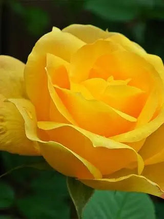 PetiteQuake3195의 최다연