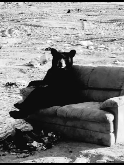 When_angels_deserve_to_die의 𝕽𝖔𝖜𝖆𝖓