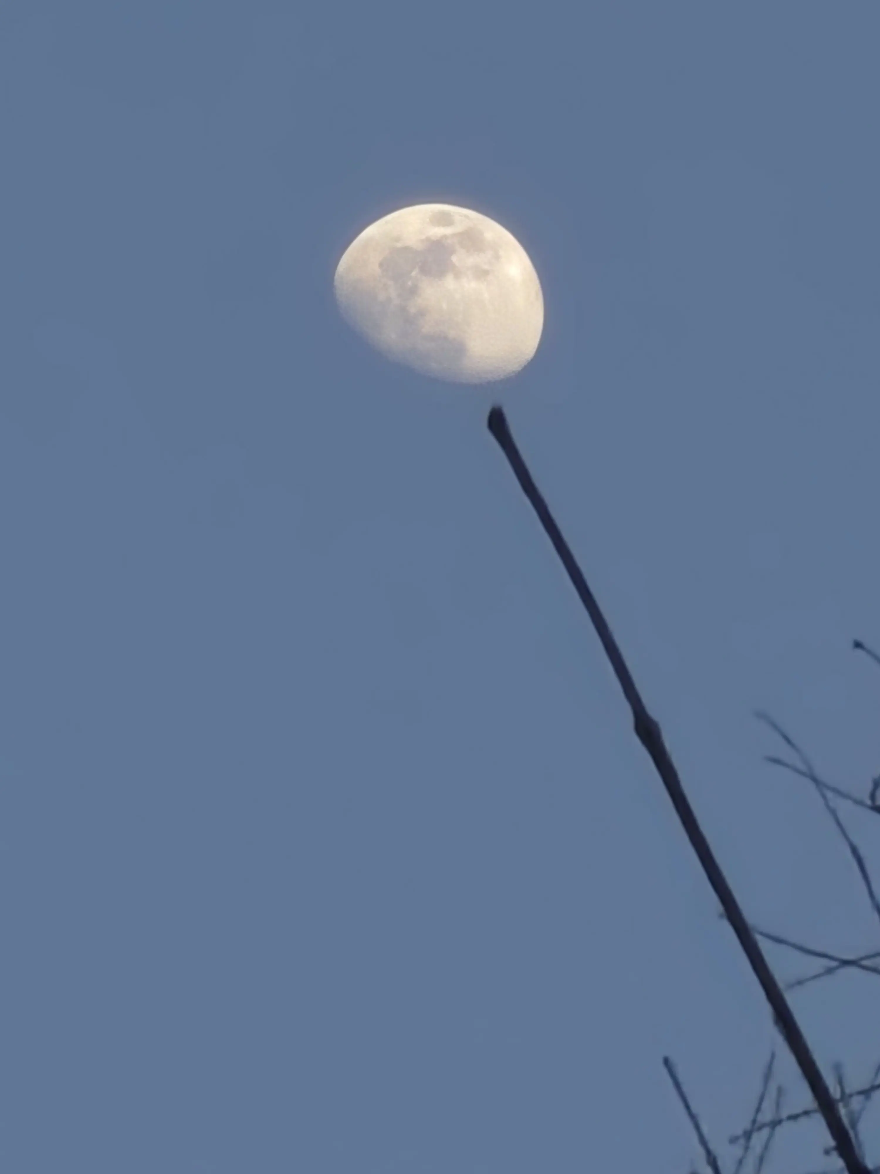 fresh_seaweed의 싸이코드 회식에 끌려가 버렸다...