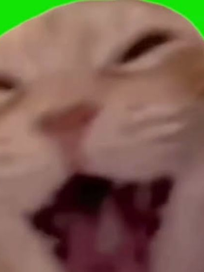 파워배틀 와치카 대표 이미지