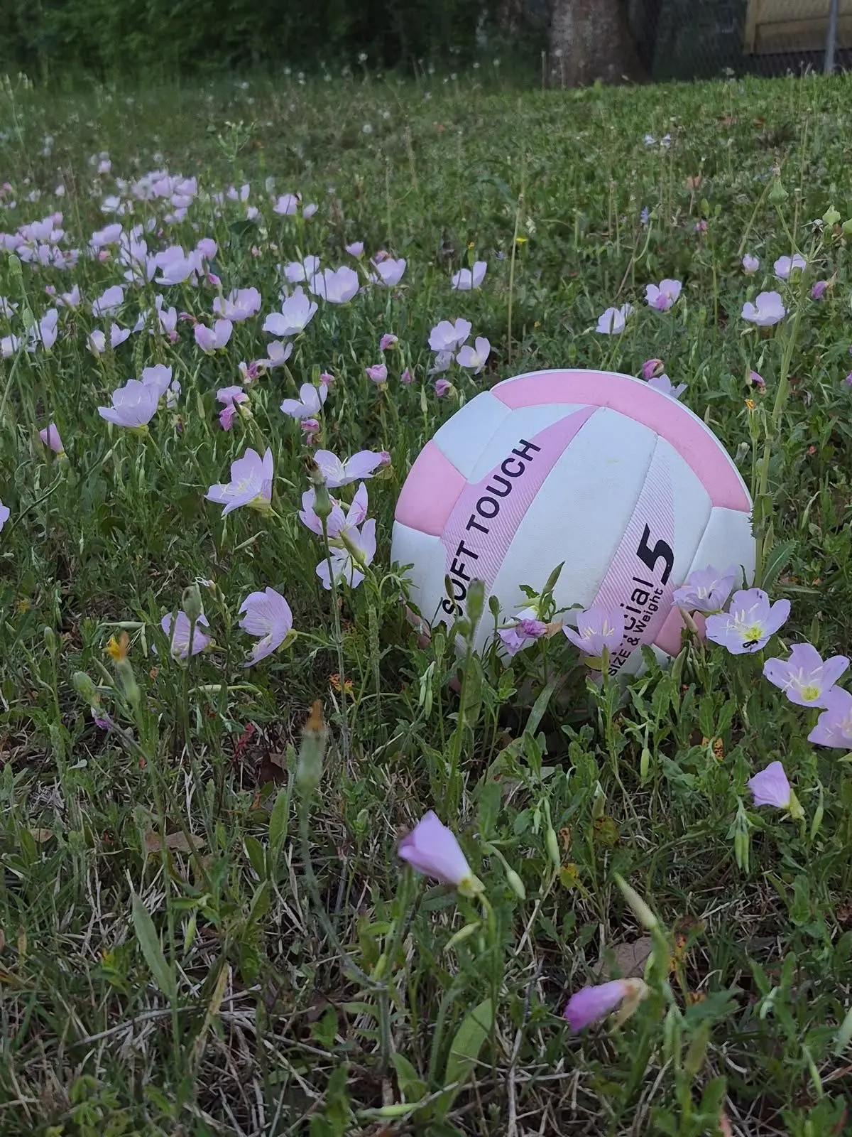 FlakyKagu0757의 Volleyball