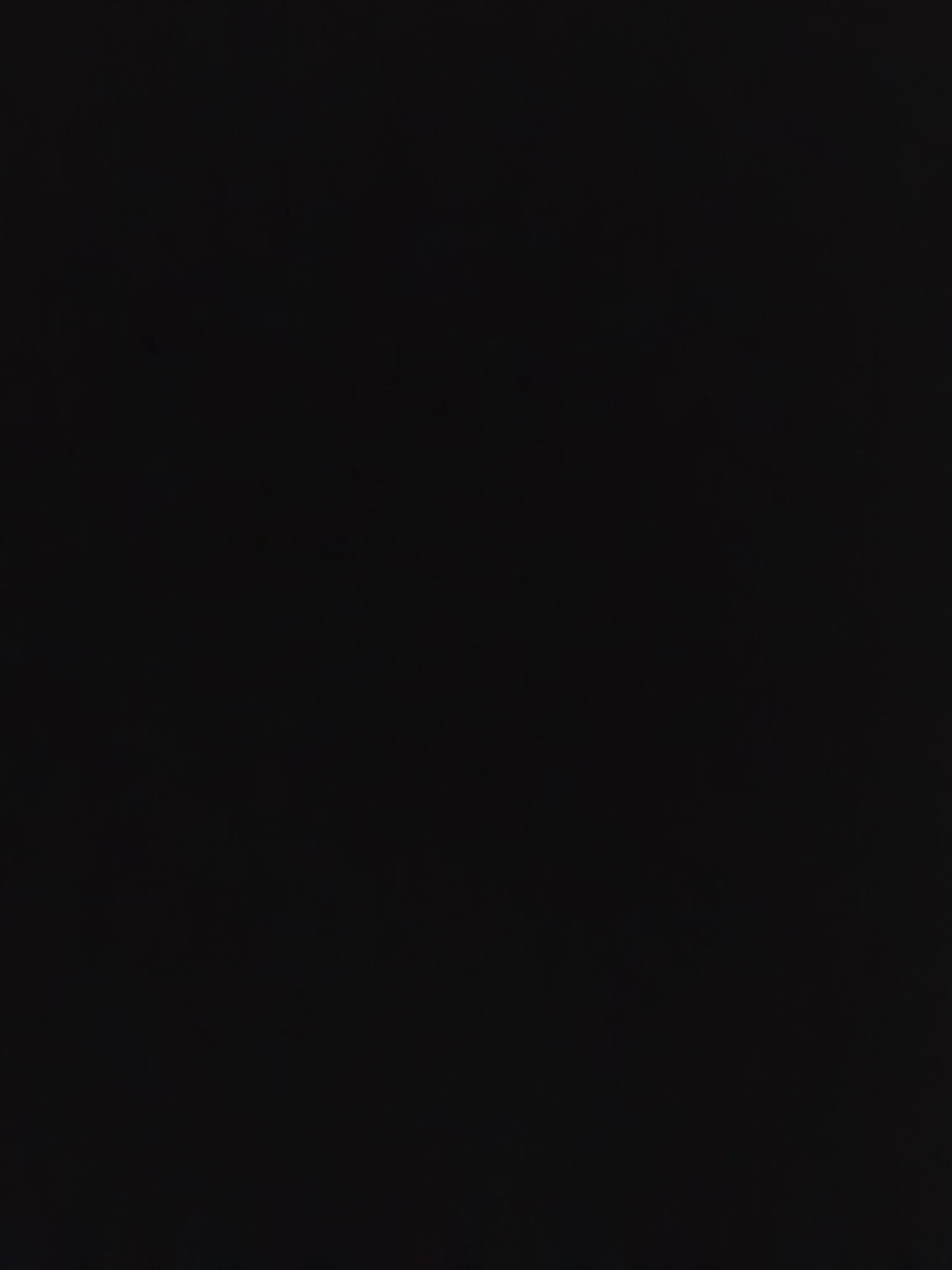 Bsfwhe의 이 브롤러들의 공통점은?
