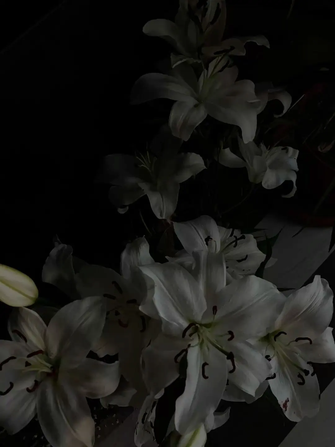 SaltyTruck7876의 子大監