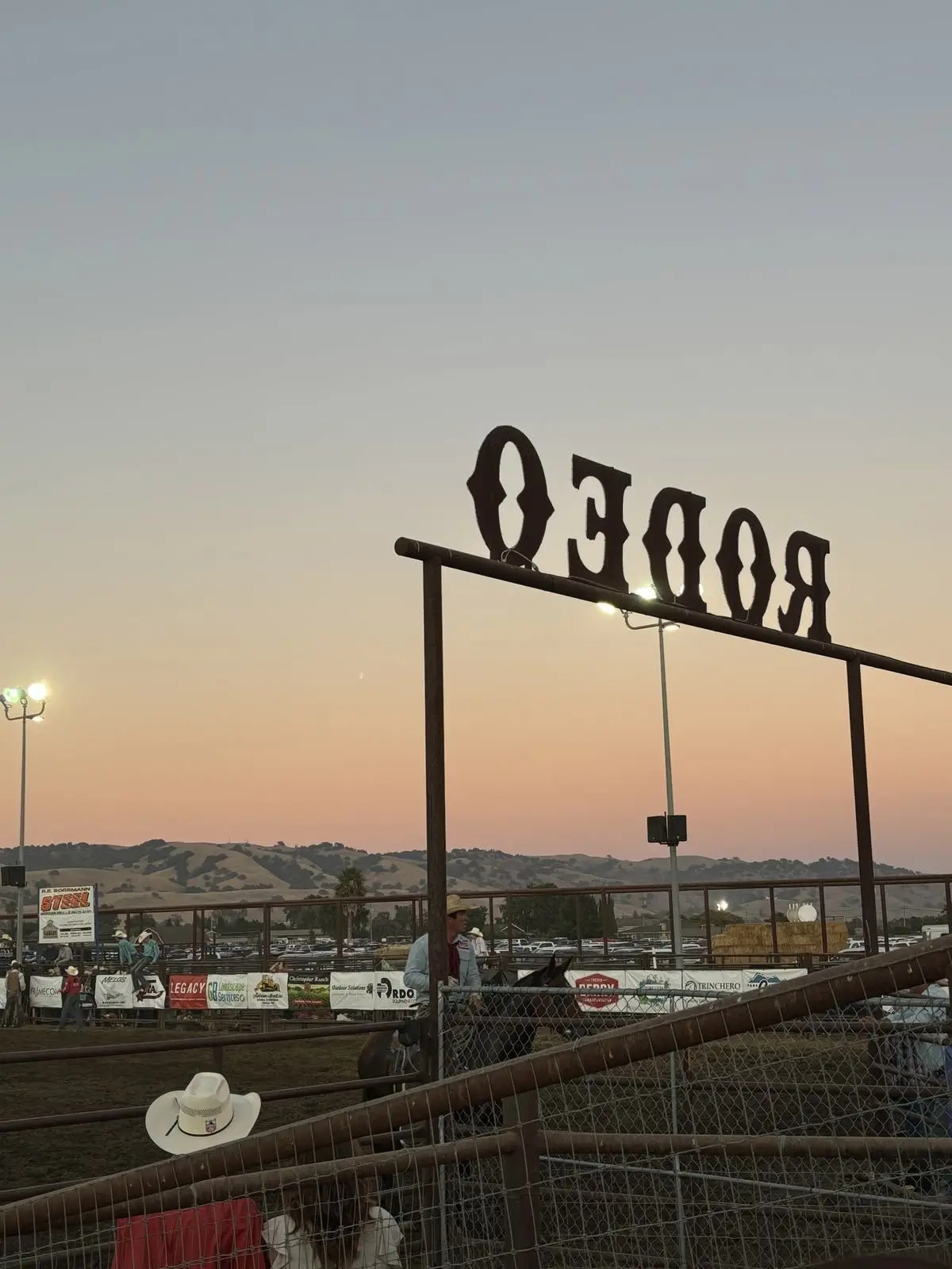 SnugRoot6383의 Giddy up