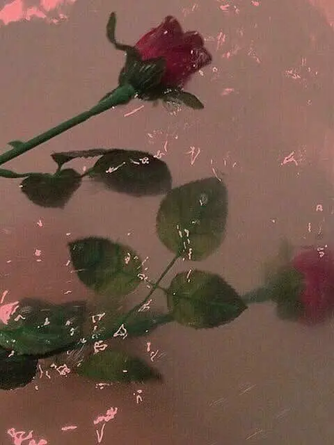 GlassBilby9273의 너무나 당신의 아름다운 사X.