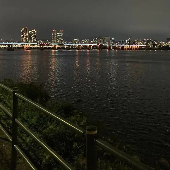 EarthyDill2403의 꿈에서 만난 그녀