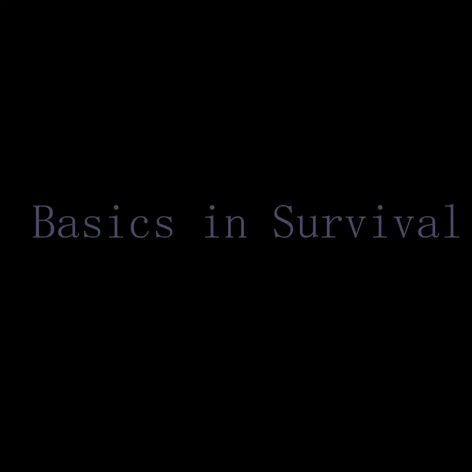 HurtShelf0989의 Basic in Survival