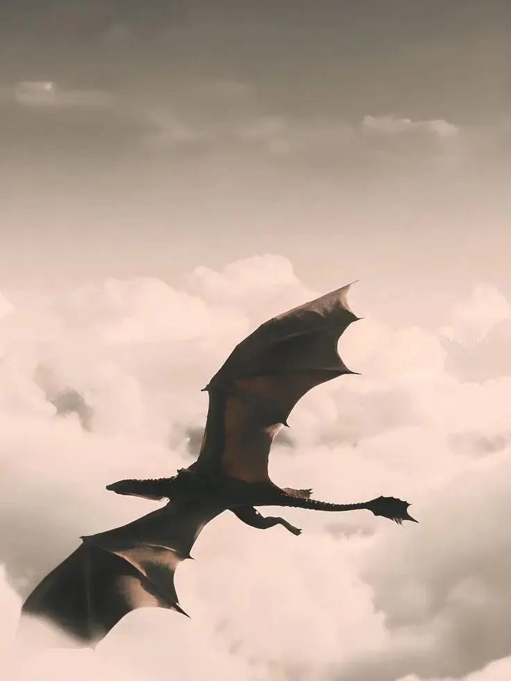 Kalijah의 Rival Skies