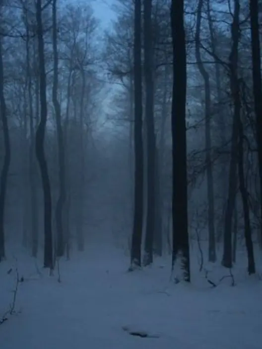 hahahaha_7758521의 《『적을 실은 밤』》