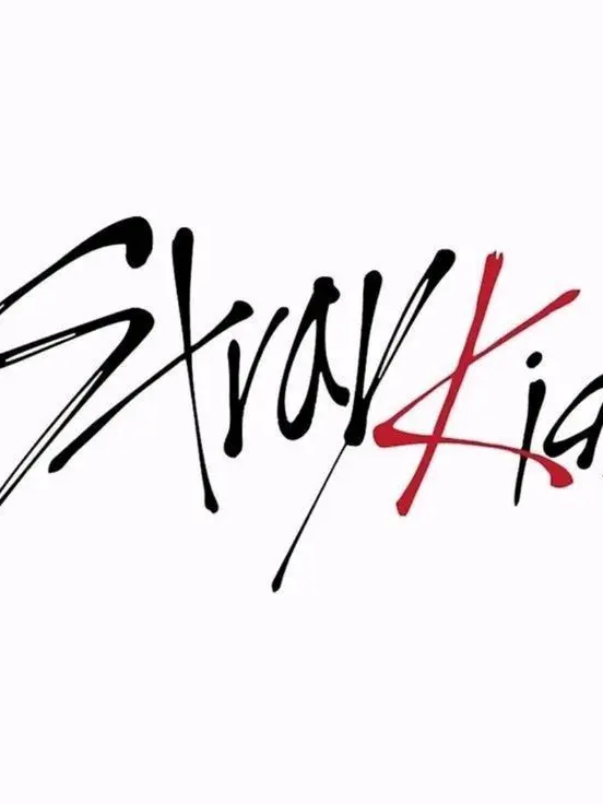 straykids2018.0325의 straykidsのライブで事故発生