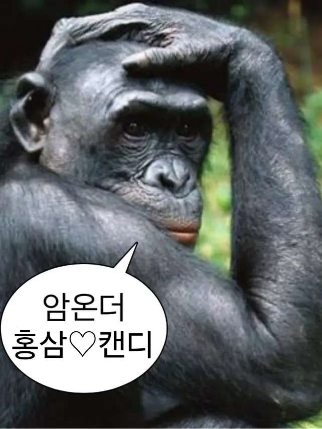 MorbidMenu4135의 댄디세계