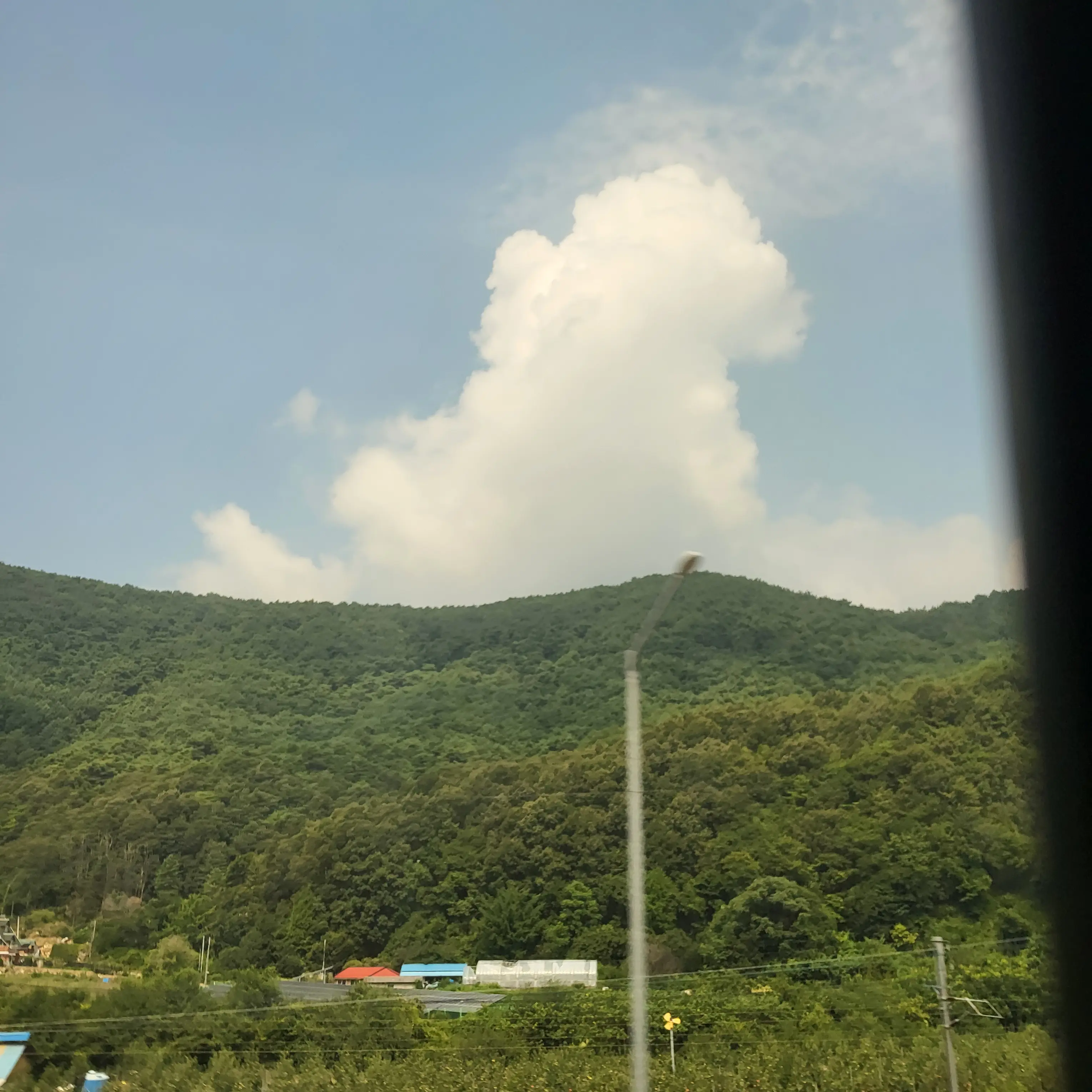 PurelyCharm7371의 스프런키 학교