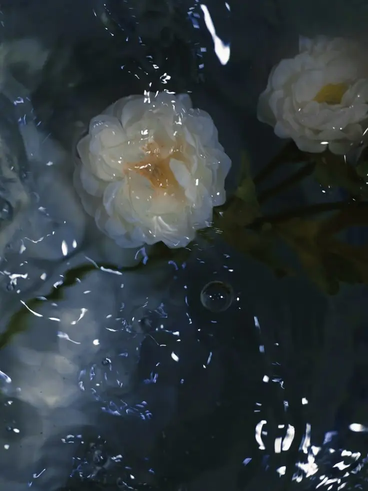 youbeii의 한수연