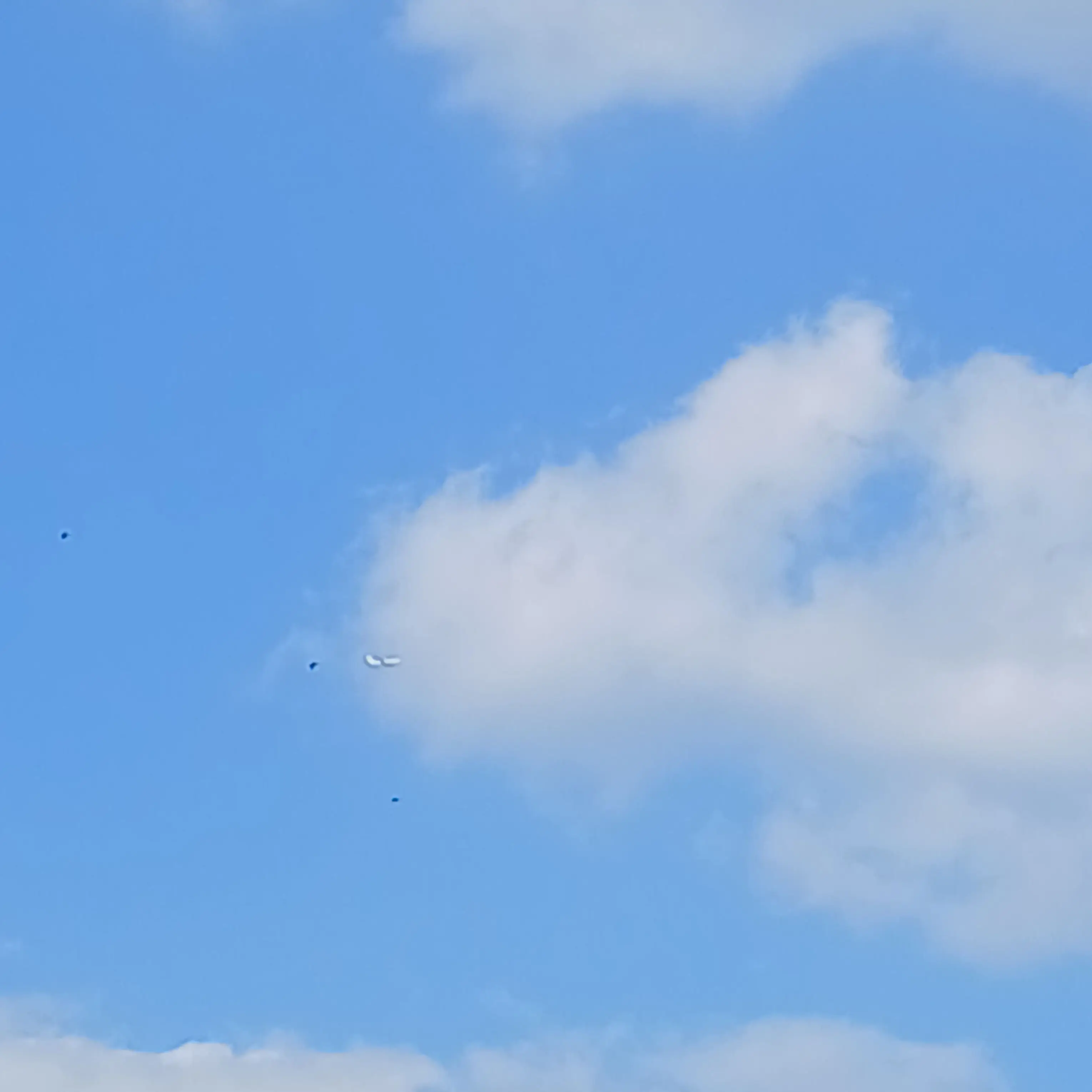 MILK0903의 버스에서 NCTWISH 마주침