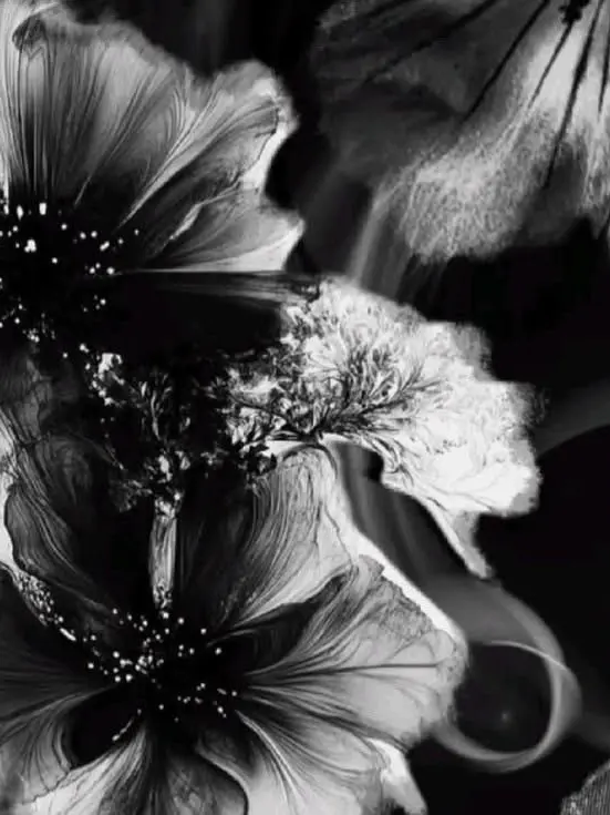 bigbang_2NE1_0의 BEAUTIFUL×Emotion