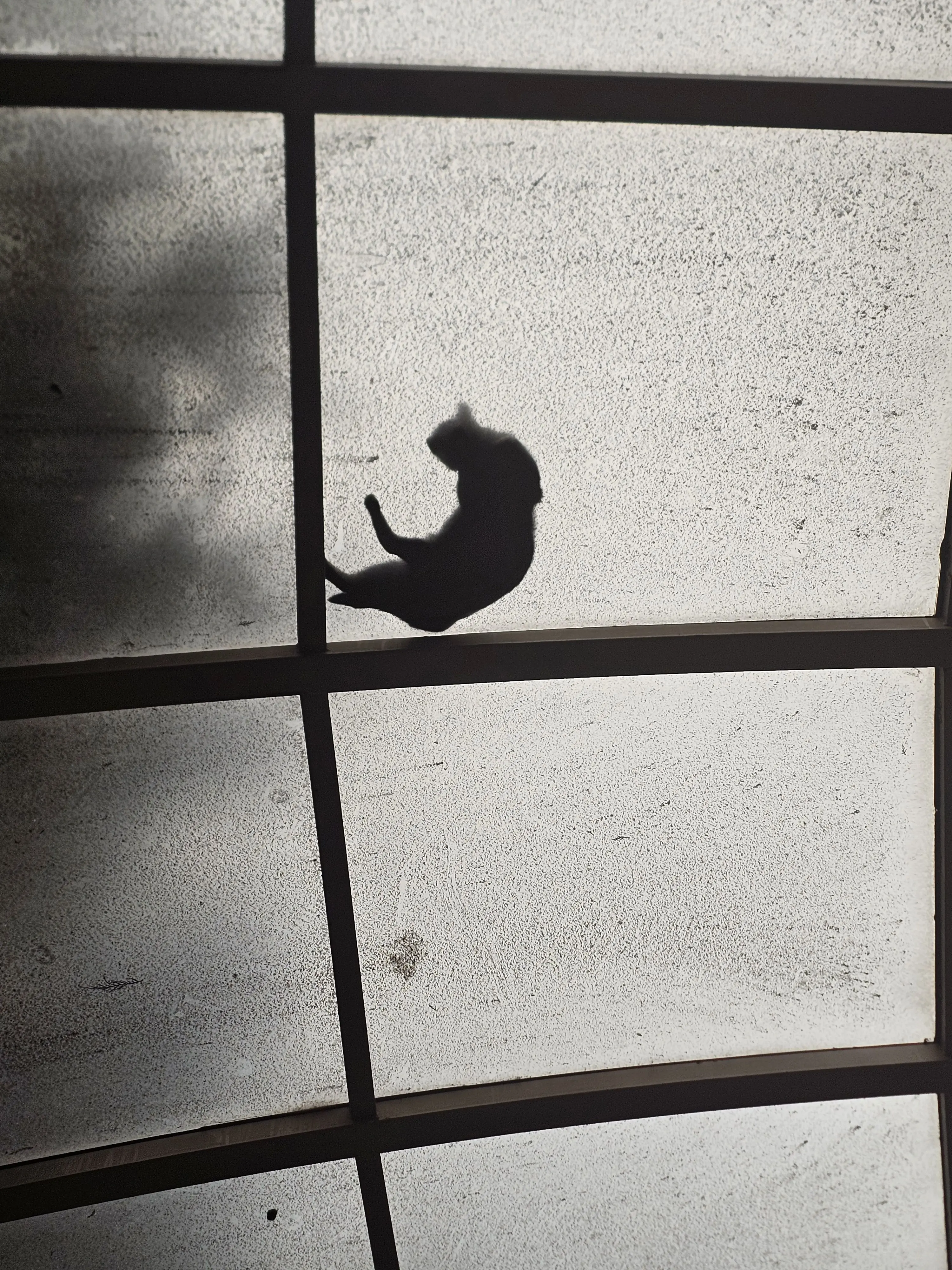 HIiIi_Im_0yi의 "The LAZY"+늑대:>