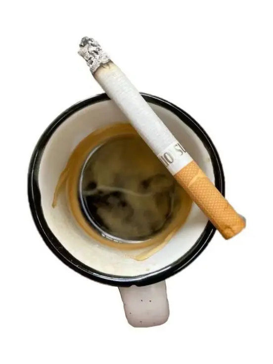 Chi11huahua의 b!tter