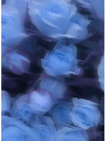 Blue._onion의 [ 0806 ]
