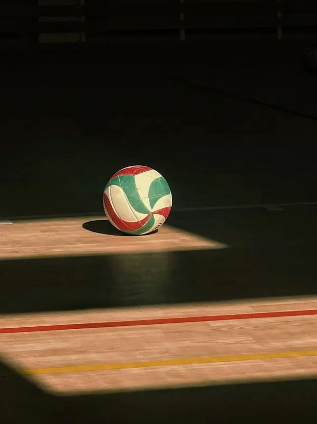 PotentJazz0488의 네코마 이나리자키 여우