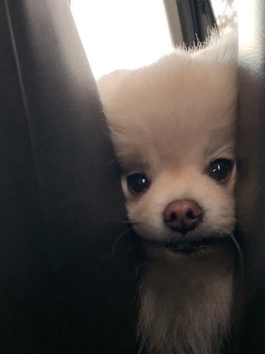 동거 대표 이미지