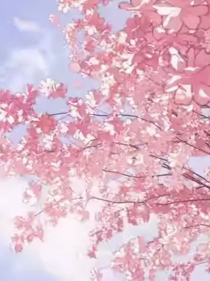 NuttyBark9114의 晴れり今、春吹雪＿＿＿
