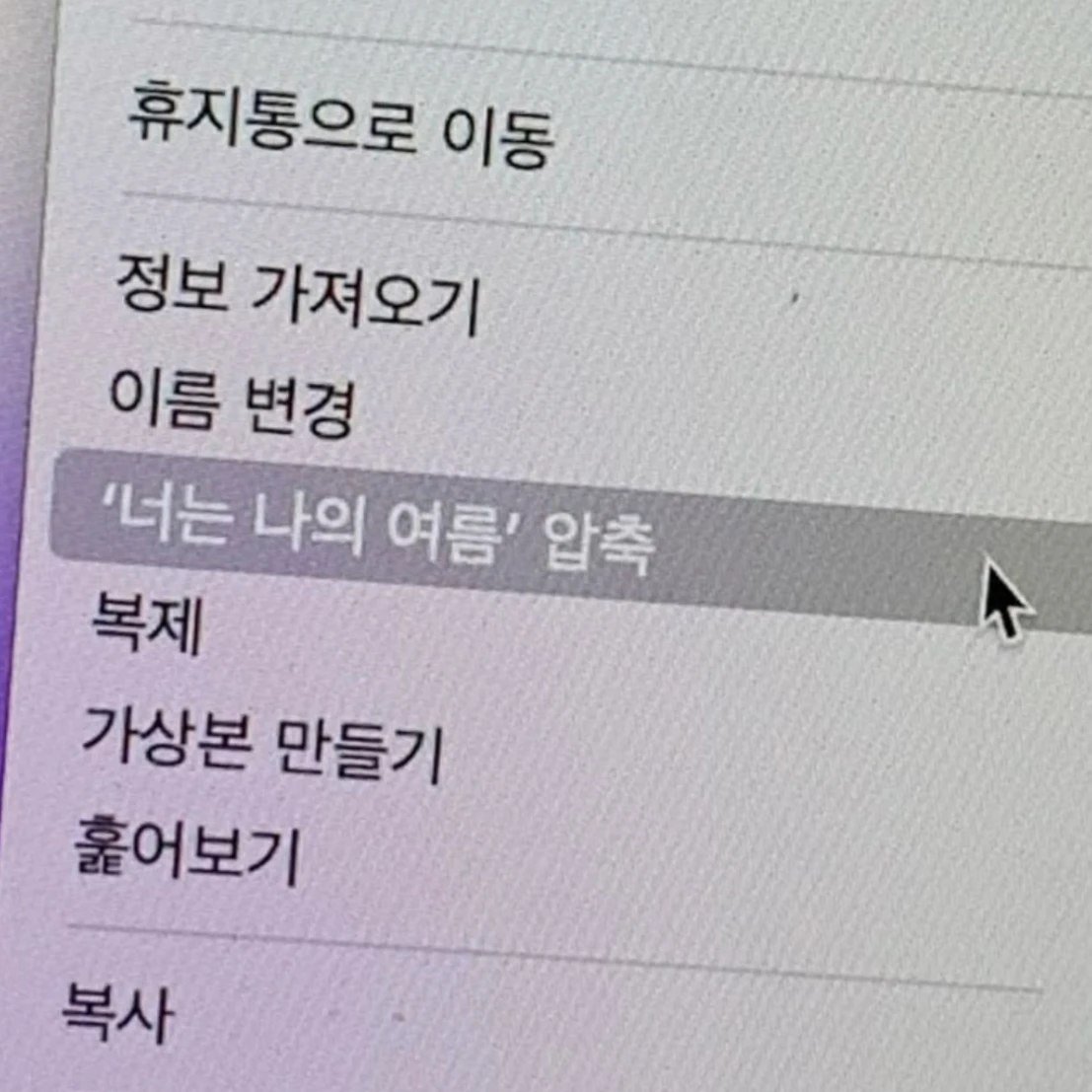 정공룡