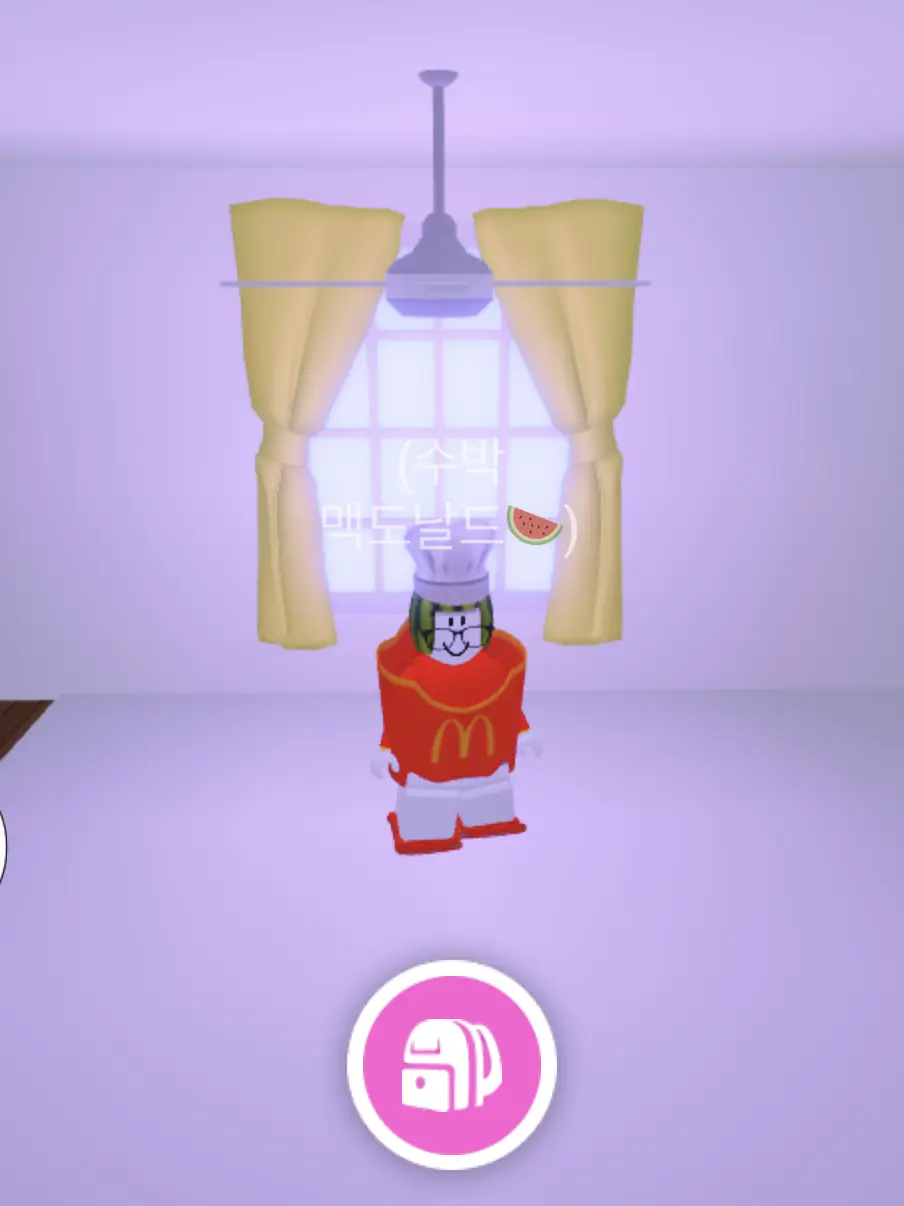 AcridJoke5767의 황수현(픽셀리)과 남매?!!