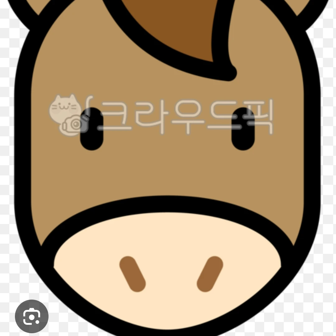 승마 아카데미 이야기