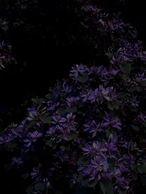 NewSkunk6118의 Two-time x user x azure (past forsaken)