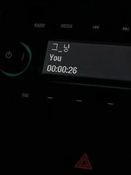 SecureGnat3220의 내 마지막 청춘의 조각