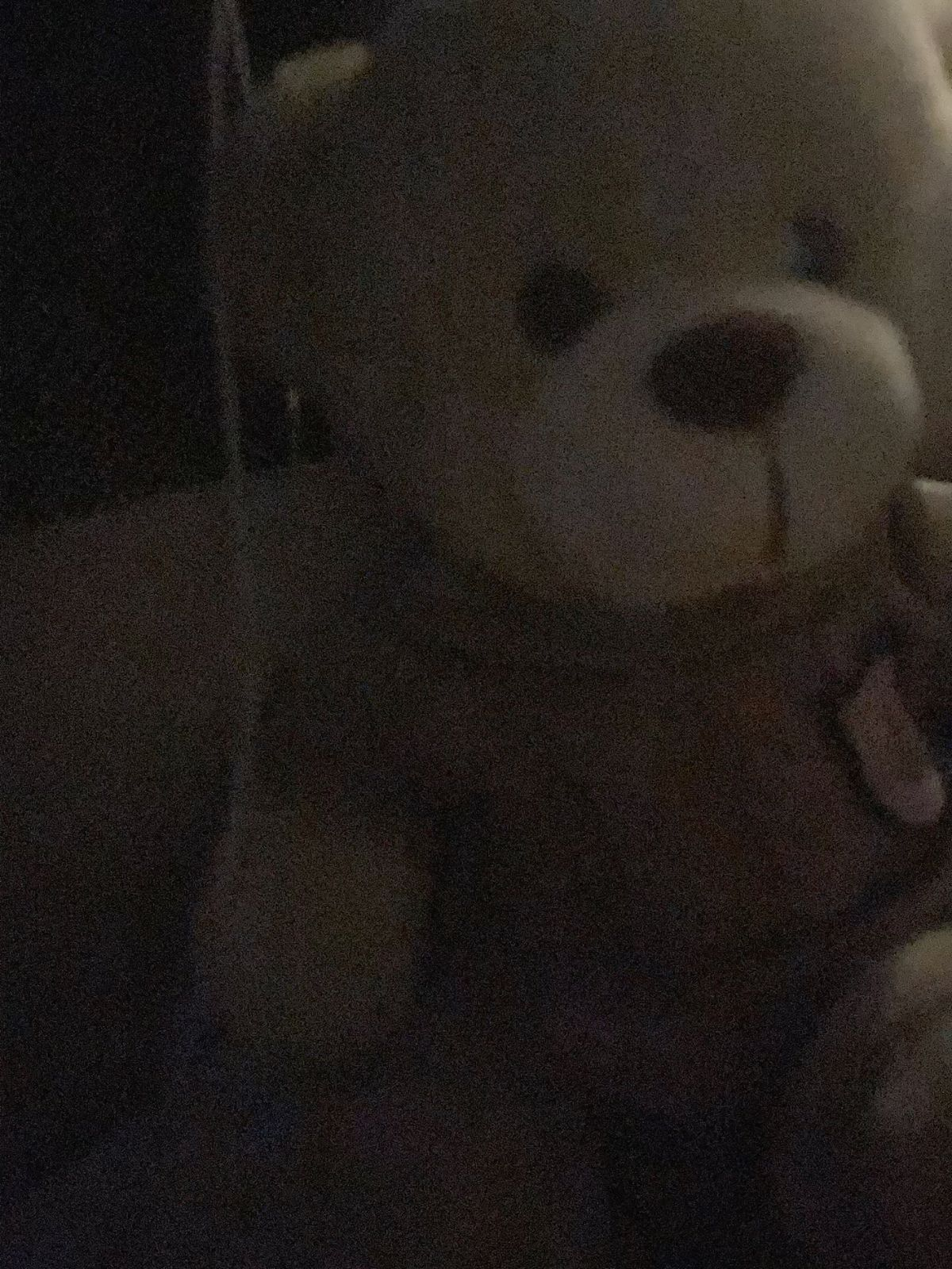 ㅤ 대표 이미지