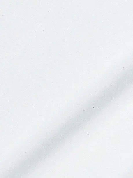 Shiro_orihS의 TF 엔터테인먼트