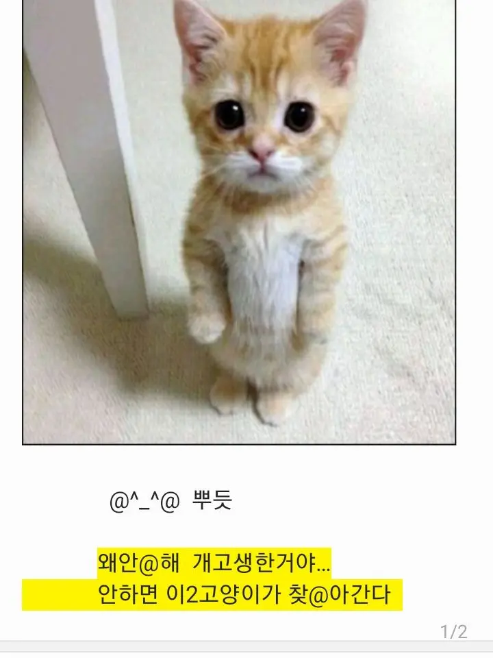 FineScarf4249의 포세이큰학교(+여우년)