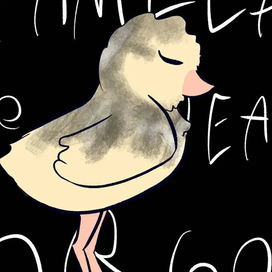 Chapssalttuck의 The Ugly Duckling