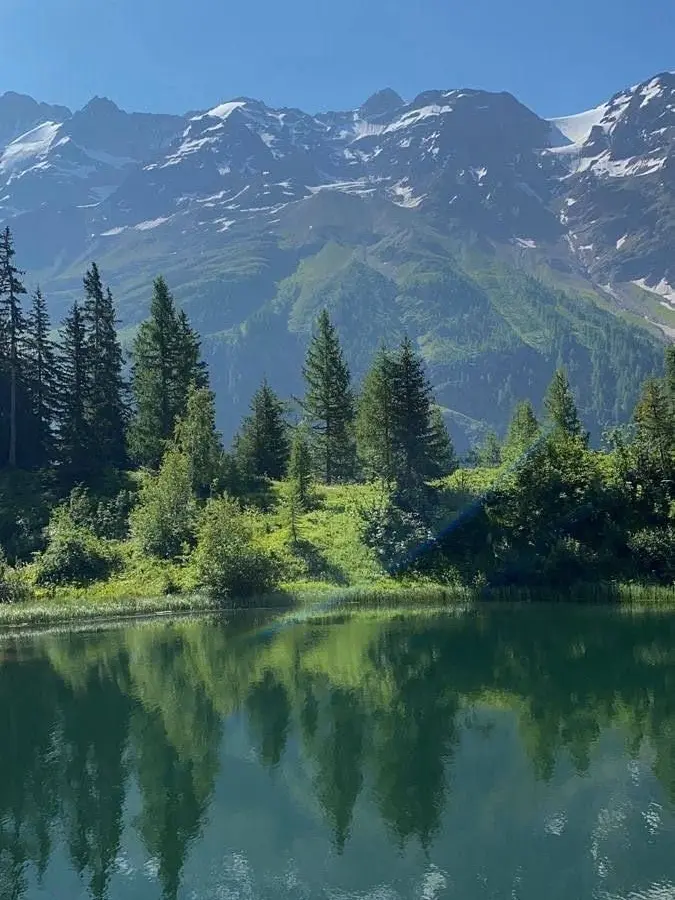 Nilly_0의 산신령님, 뭐가 미안한데요?