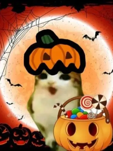 Koalasummia.의 Halloween group chat 🎃🎃