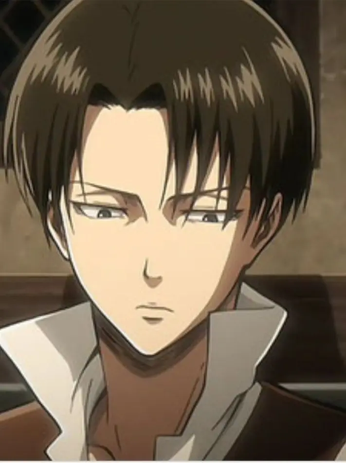 Levi_is_myBF의 리바이 아커만