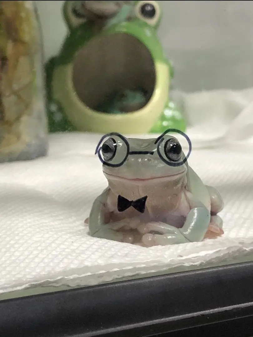 Riki_01124의 みょんほ