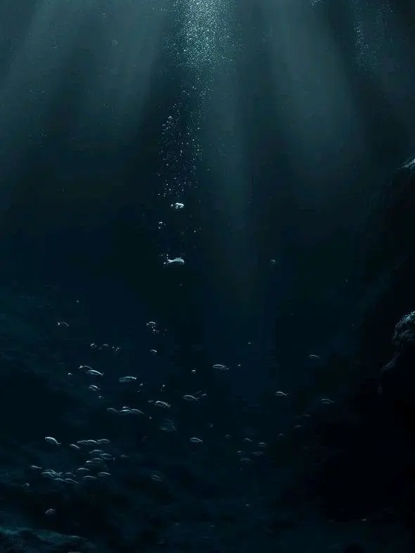 bellove의 해양 재난에서 살아남기