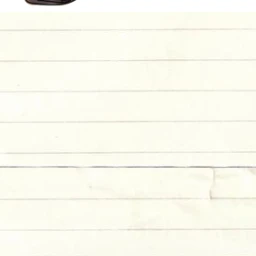 ランフレンのサトルくんとランダルくん！！