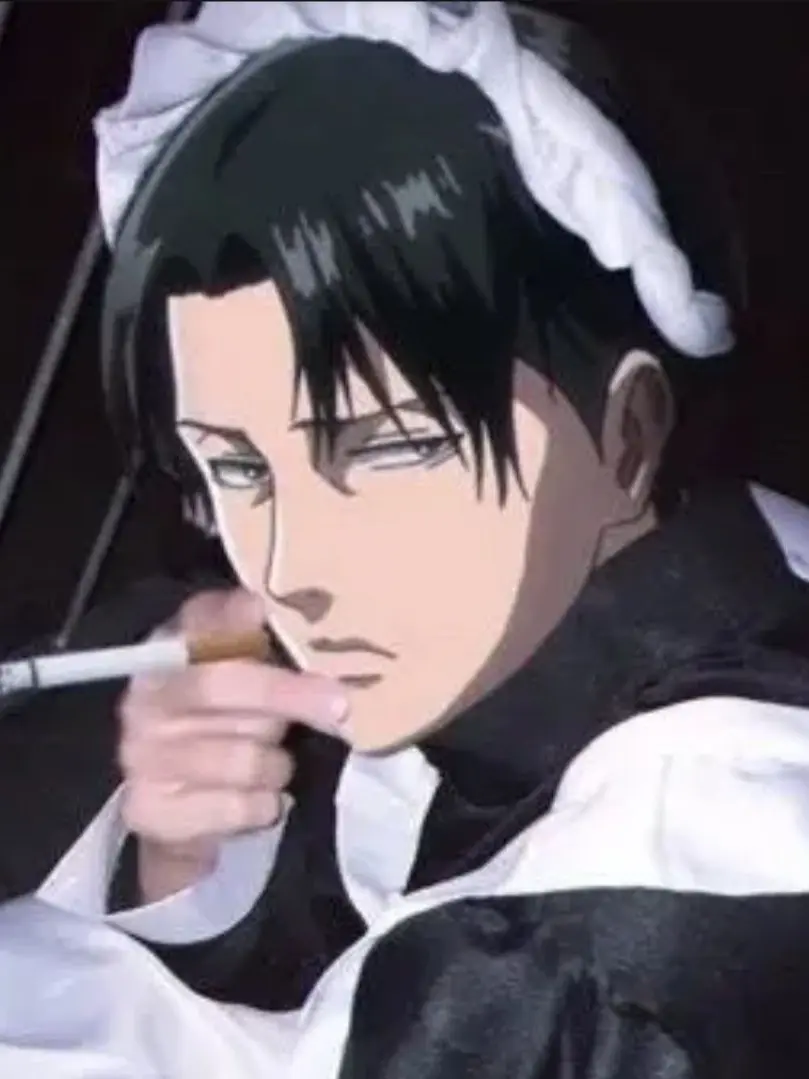 Ievi-levi_levi.levi-handsome의 리바이......?(메복)