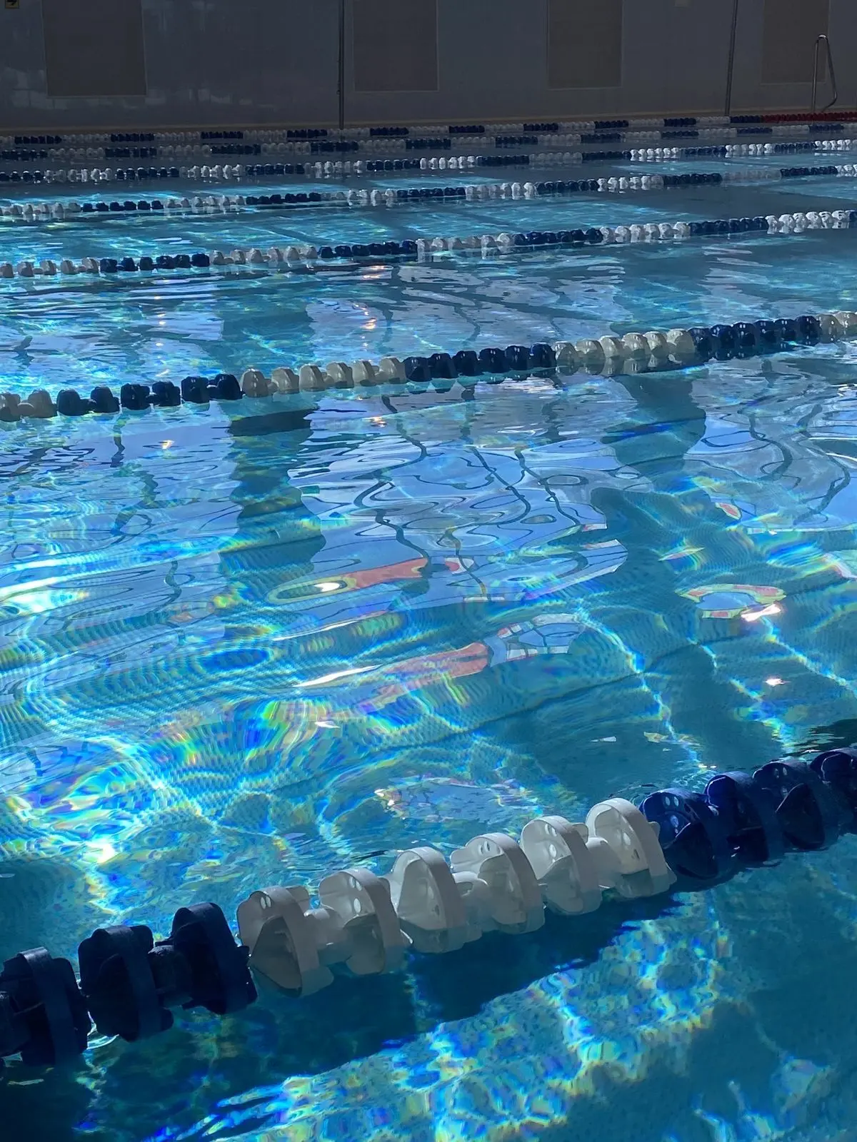 1_lee_ho의 수영부는 케이크 맛집입니다!