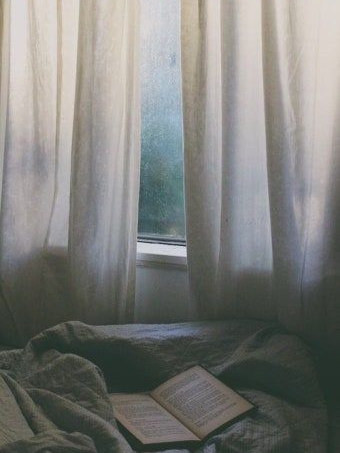 주작조 대표 이미지