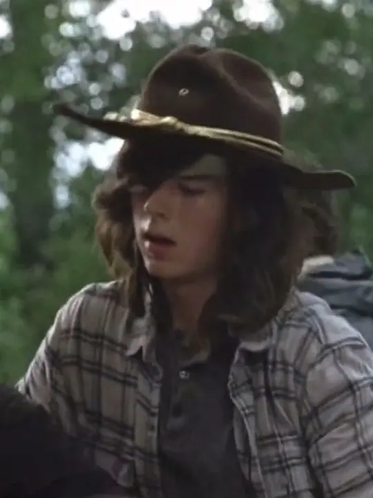 JOEGOLDBERG의 Carl Grimes