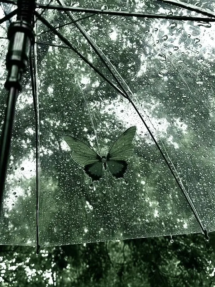 keay의 𝓬𝓪𝓷