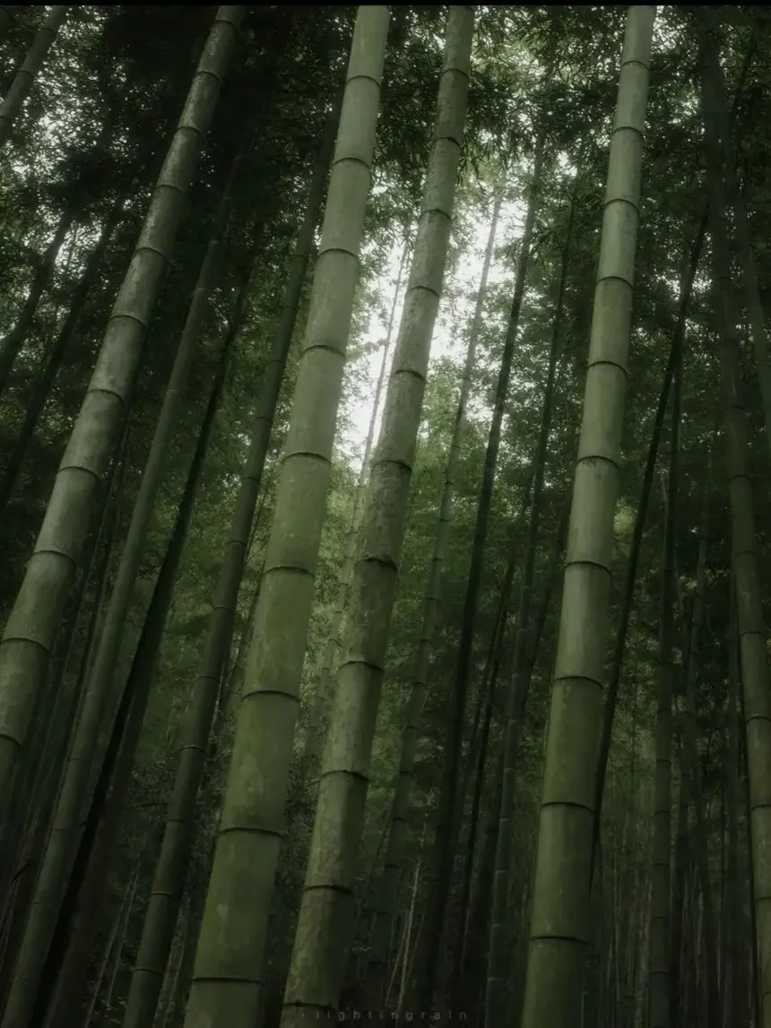 GxixzyG의 내 마지막 기억은¿