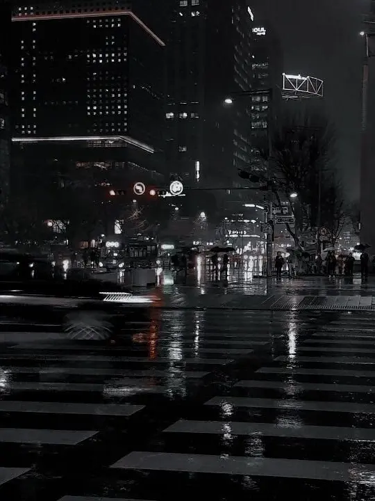 QuietShoes3638의 전학생